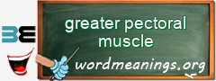 WordMeaning blackboard for greater pectoral muscle